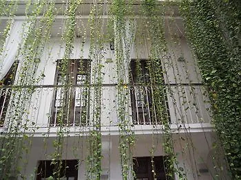 Hotel Saint Nicolas 3*, Σάντο Ντομίγκο